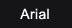 Arial Font
